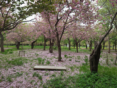 明治の森
