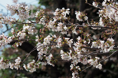 Kubo Park