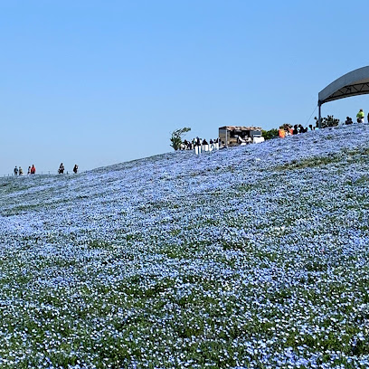 Maishima Ryokuchi Park