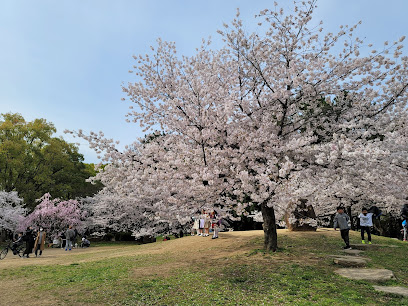Nagai Park