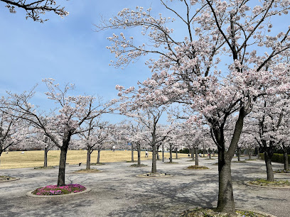 Sakura Hiroba(Sakura Garden)