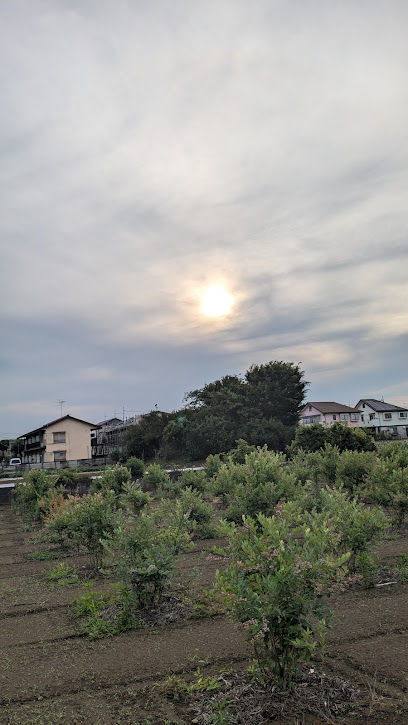 前原塚古墳