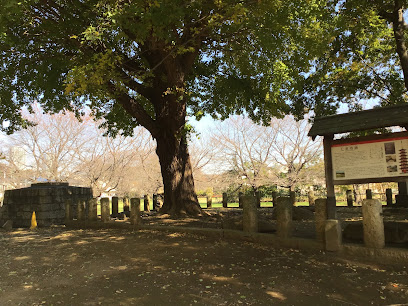 武蔵国分僧寺 七重の塔跡２