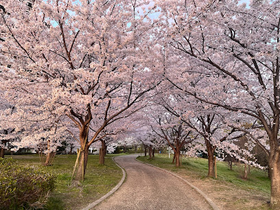 Yodogawa Kasen Park - Moriguchi Area