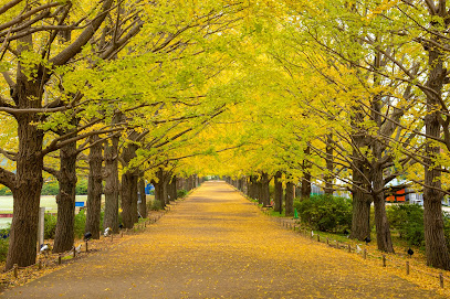 Gingko Tree Avenue