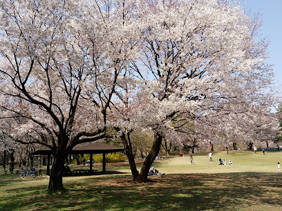 Oizumi Central Park
