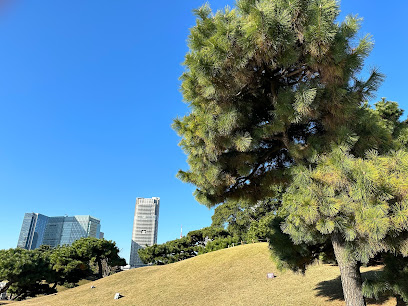 Hinokuchi-yama