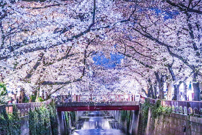 櫻樹記念碑