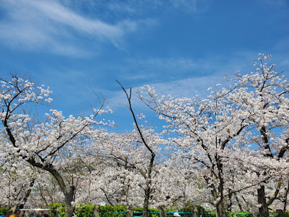 Egeyama Park