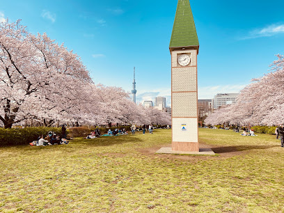 Sarue Park