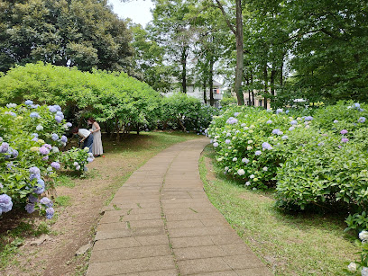 アジサイ園