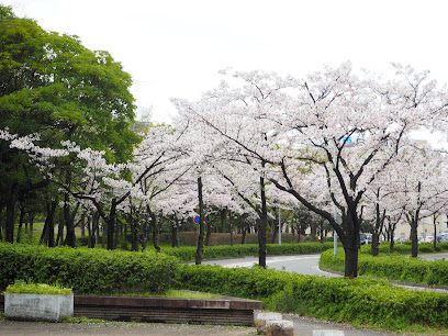 Jingū Higashi Park