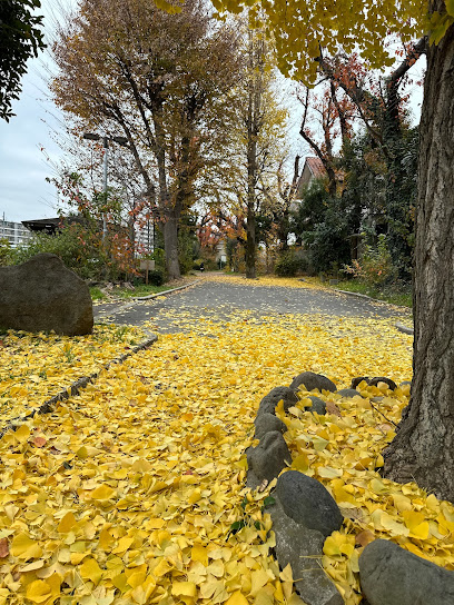 Nishinogawa Ryokuchi Park