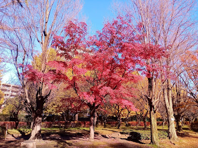 Sengawa Peace Park