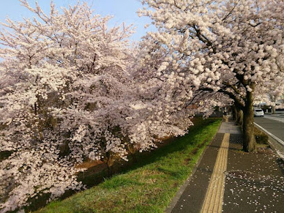 Shogen Park