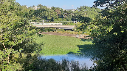 Mamisawa Park