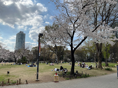 Shinjuku Central Park Deck Terrace
