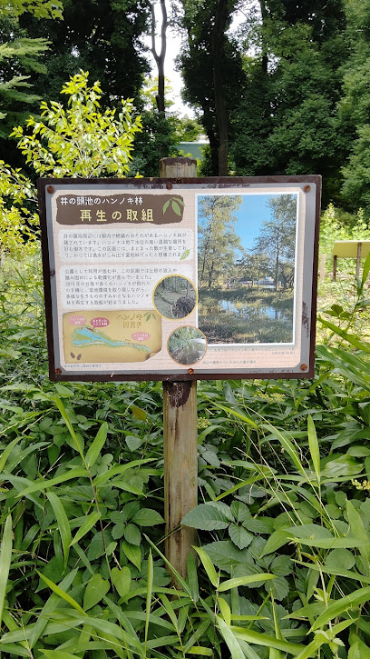 ハンノキ林(井の頭公園)
