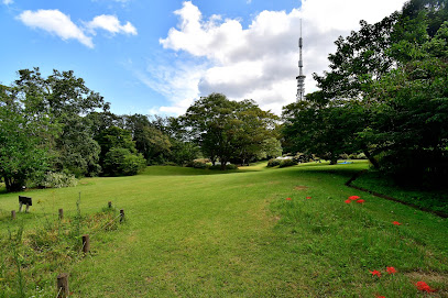 Dainenjiyama Park