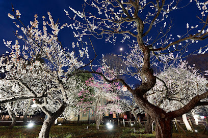 Fuchu City Local History Museum of Forest
