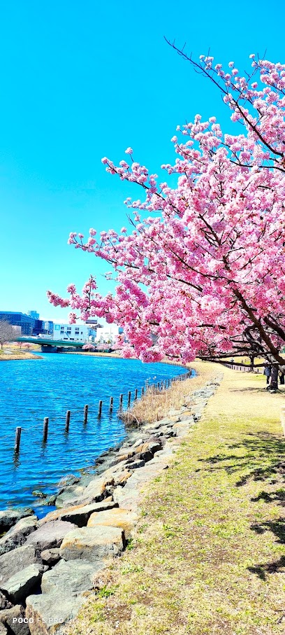Sumida Kuritsu Kyunakagawamizube Park