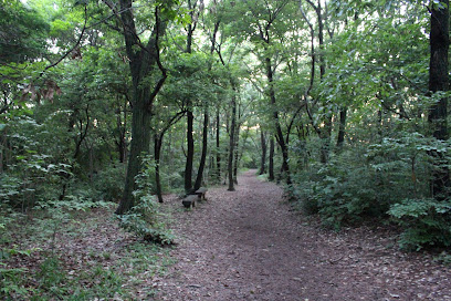 Chayagasaka Park