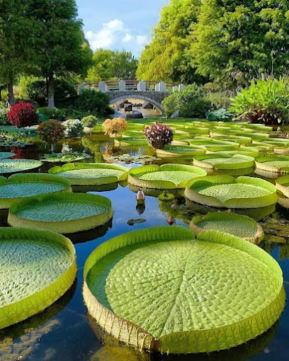 Hakone Botanical Garden of Wetlands