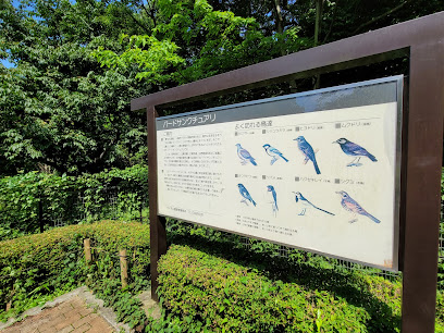 Bird Sanctuary
