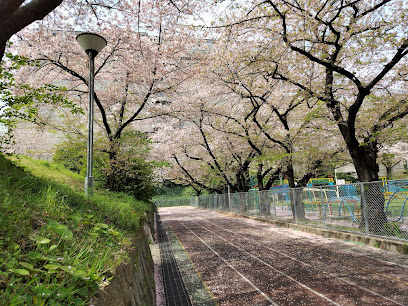 Sakae Park