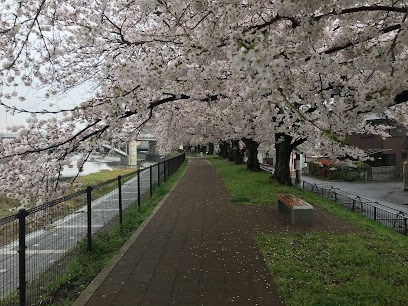 Hikari Park