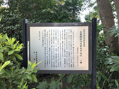 大泉院のウスギモクセイ