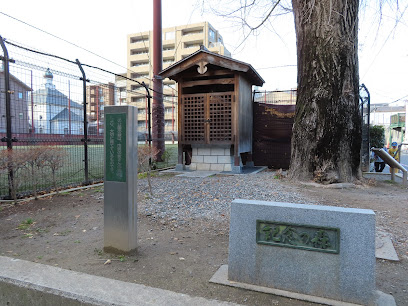記念の森