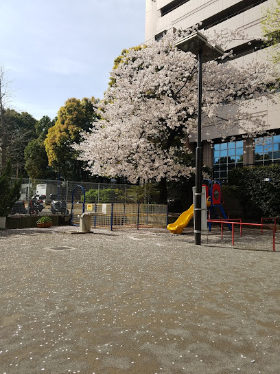 Ichibabashi Park