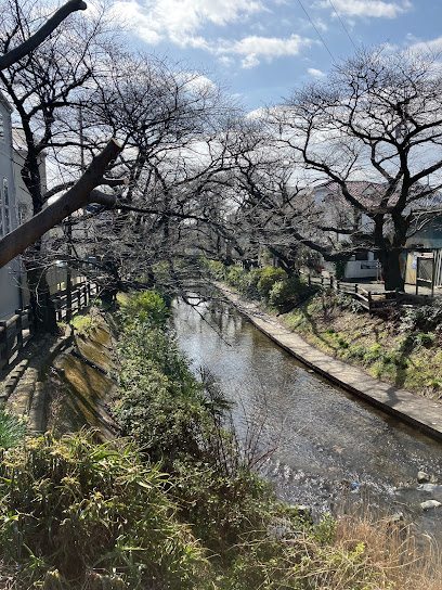 二ヶ領用水宿河原堰取水口