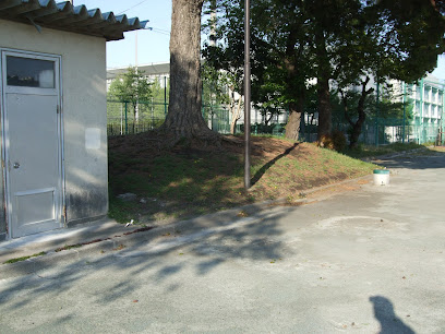 砧中学校3号墳