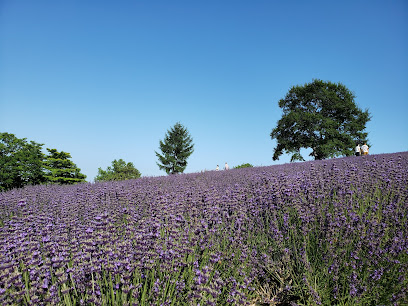 Horomitoge Lavender Garden