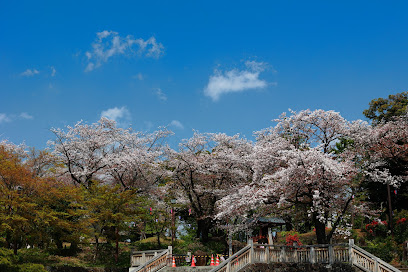 Asukayama Park