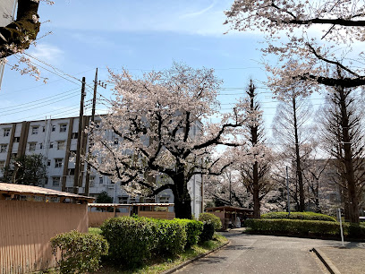 Koganeihoncho Jutaku Park
