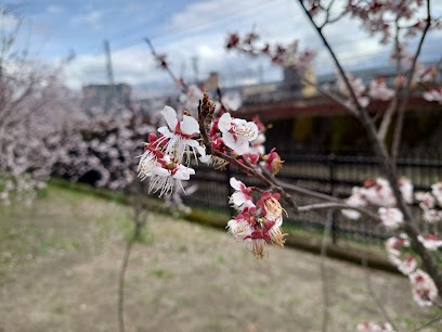 Hachijō Children's Park