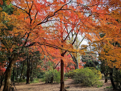 Inokashira Park Daini Park