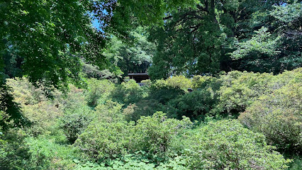 日本庭園を望む東屋