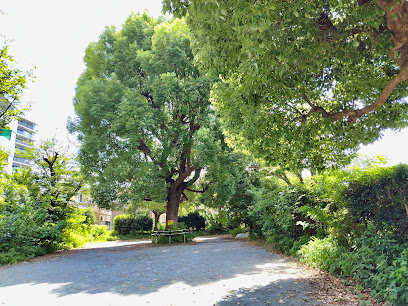 Semi Park