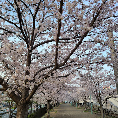 Hodo Park