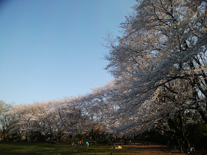 Akatsuka Jōshi Park Castle Ruins