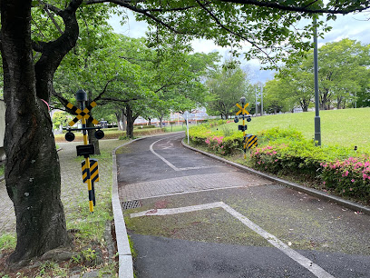 Traffic Park