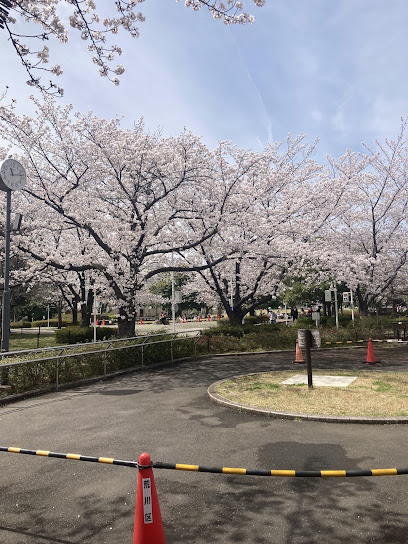 Arakawa Nature Park Unicycle Riding Ground