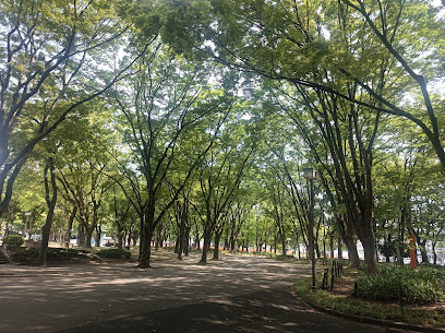 並木道