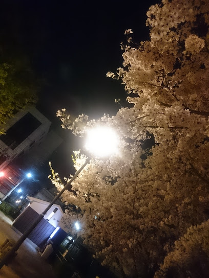 Ayanishi Park
