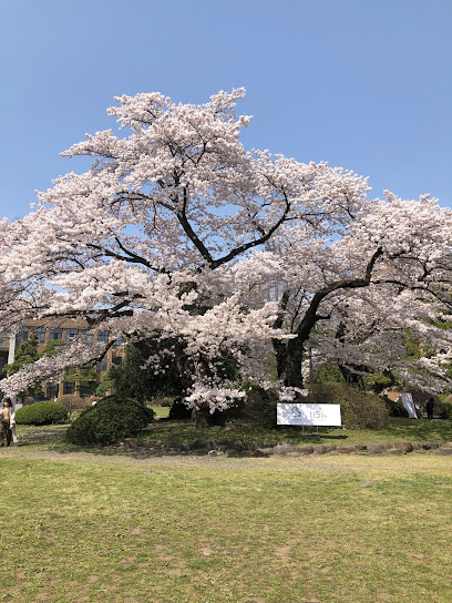 Katahiragakuto Memorial Park