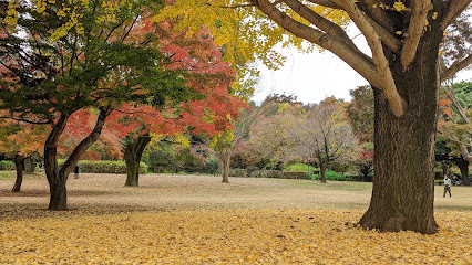 Komorebi Hiroba Area